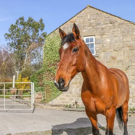 Orchard Holiday home East Witton